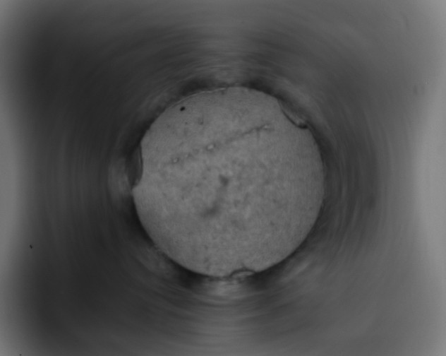 X0000092110384200710031235