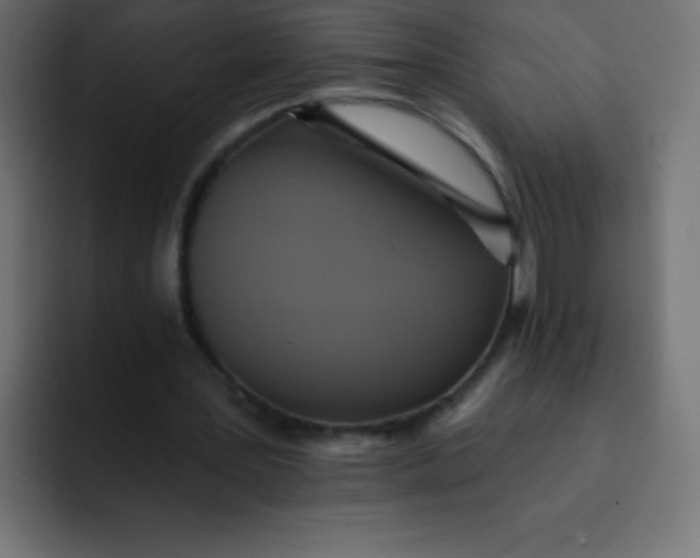 X0000092110387200710031234