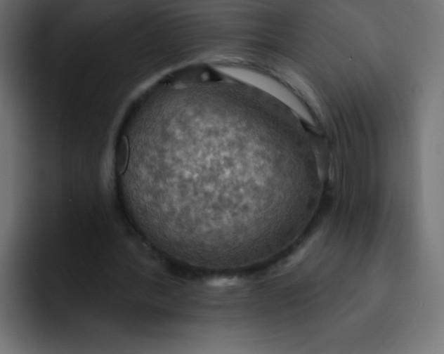 X0000092110388200710031234