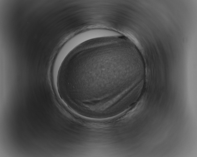 X0000092110389200710031234