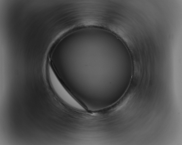 X0000092110391200710031234