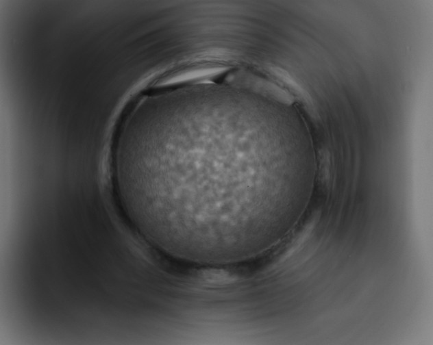 X0000092110392200710031234