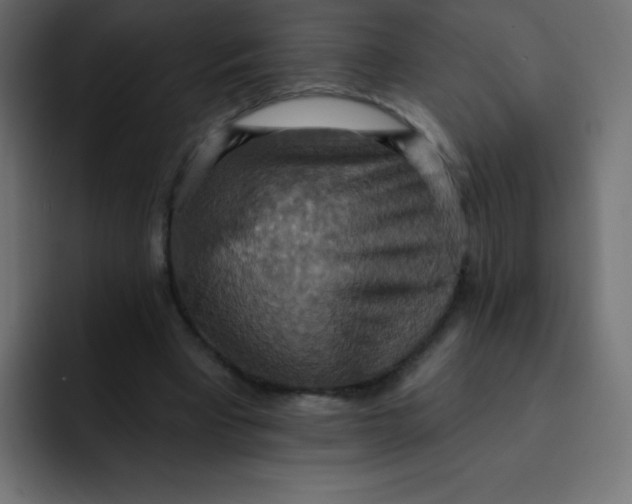 X0000092110393200710031234