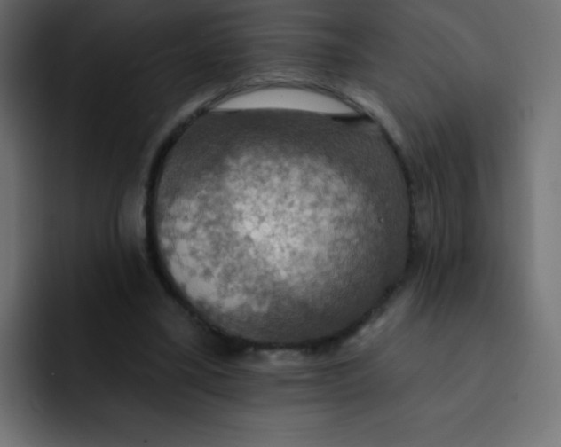 X0000092110395200710031234