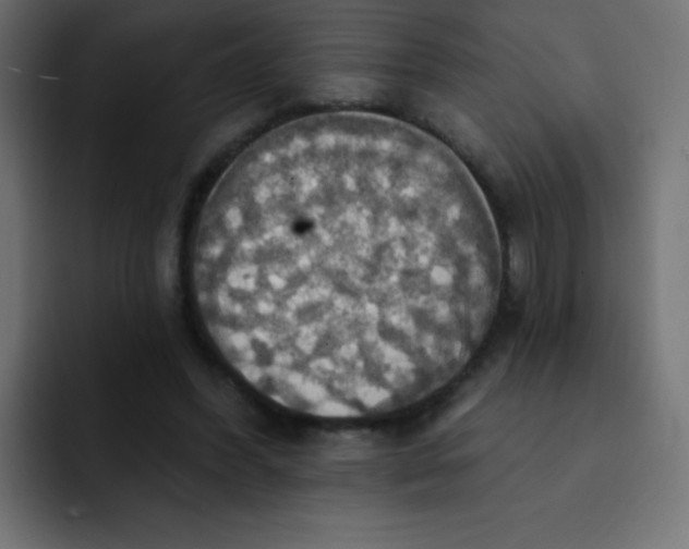 X0000092110396200710031234