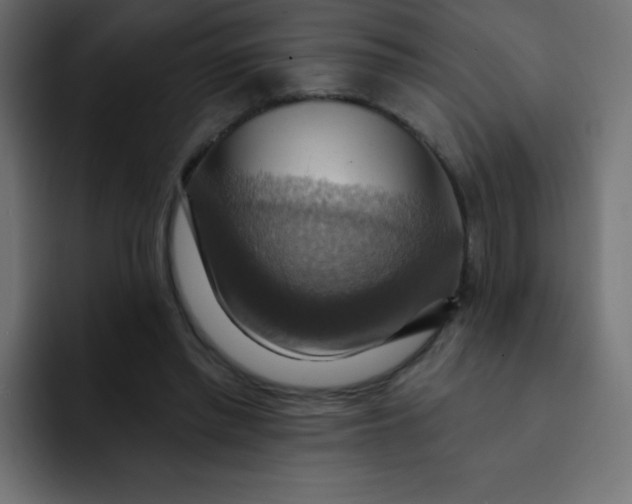 X0000092110397200710031234