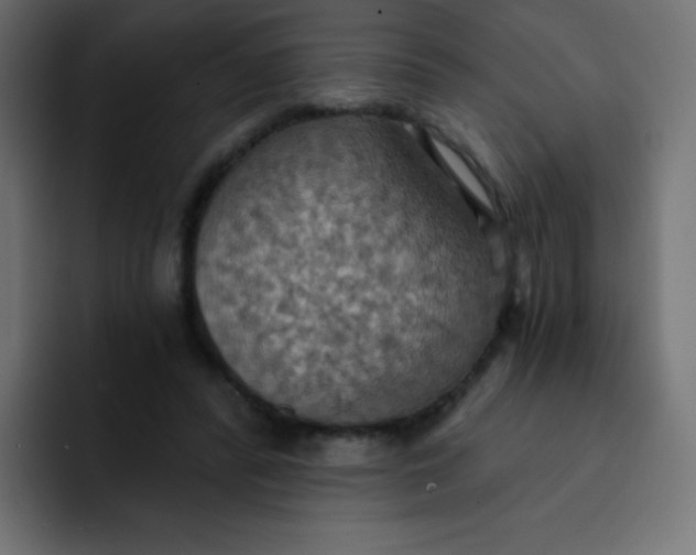 X0000092110400200710031234