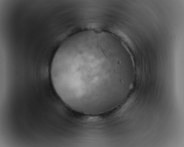 X0000092110401200710031234