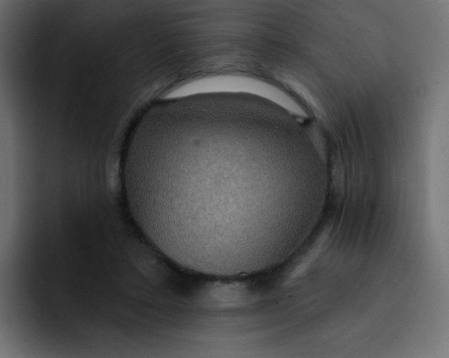 X0000092110403200710031234