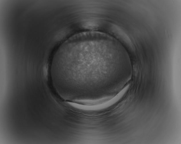 X0000092110404200710031234