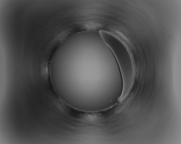 X0000092110405200710031234