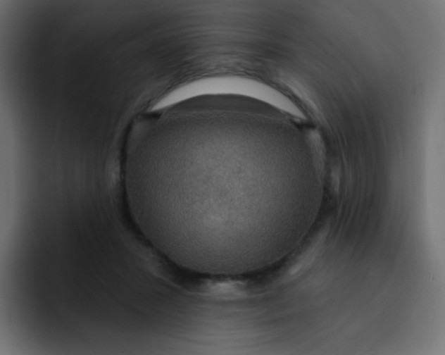 X0000092110407200710031234