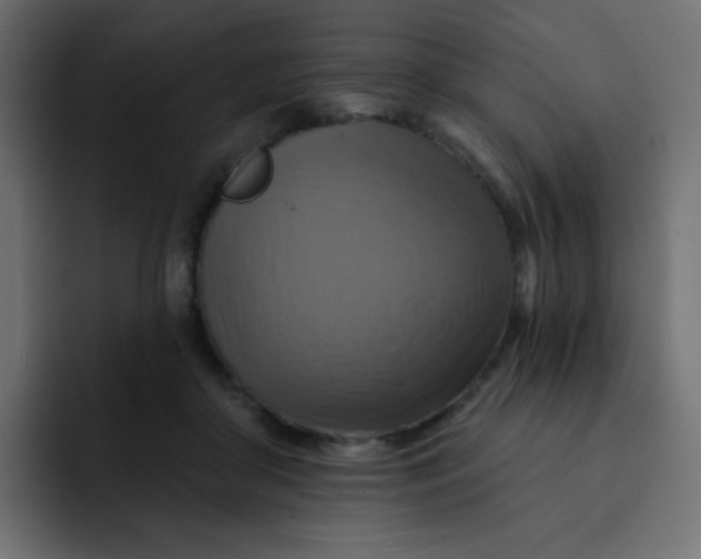 X0000092110410200710031234