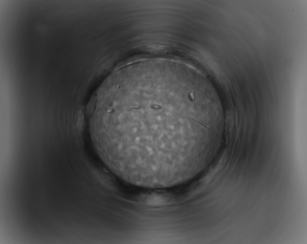 X0000092110412200710031234