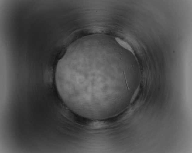 X0000092110413200710031234