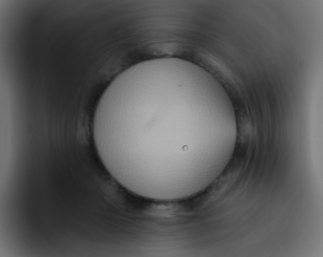 X0000092110414200710031234