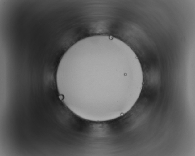 X0000092110415200710031234