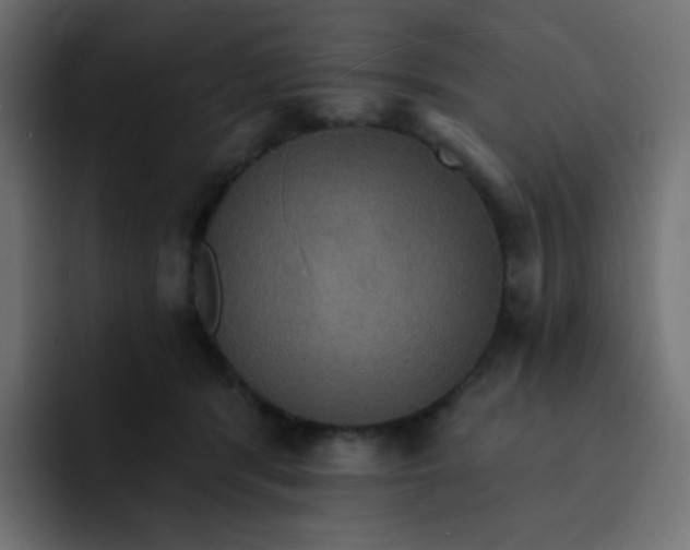 X0000092110416200710031234