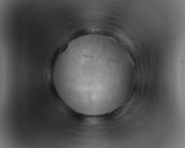 X0000092110417200710031234