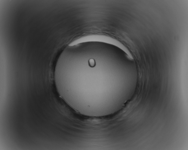 X0000092110419200710031234