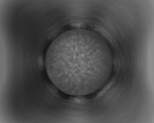 X0000092110420200710031234