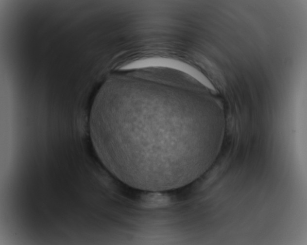 X0000092110421200710031234