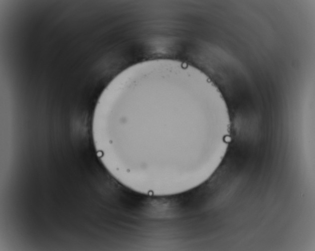 X0000092110423200710031234