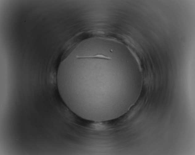 X0000092110425200710031234