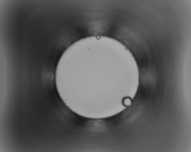 X0000092110427200710031234