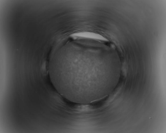 X0000092110428200710031234