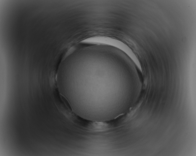 X0000092110429200710031234