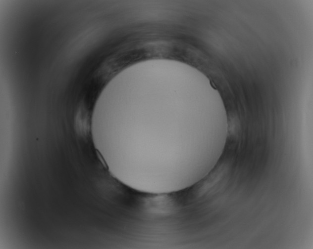 X0000092110431200710031234