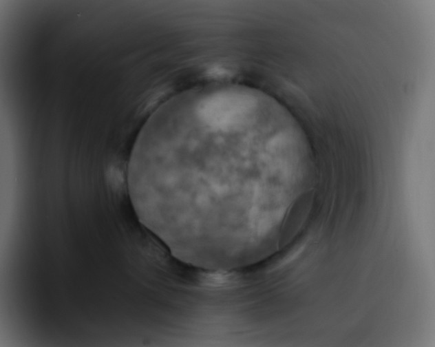 X0000092110432200710031234