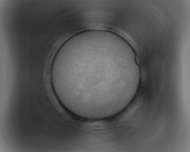 X0000092110433200710031233