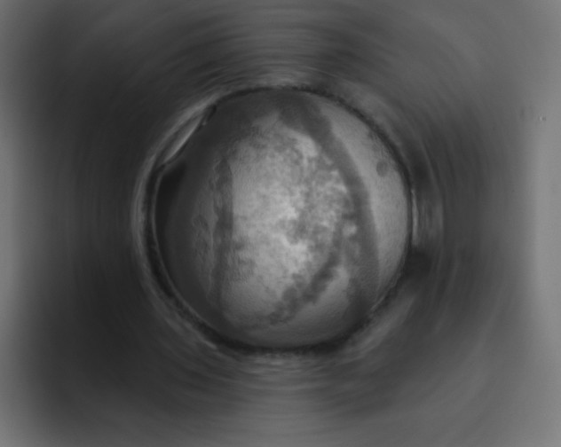 X0000092110435200710031233