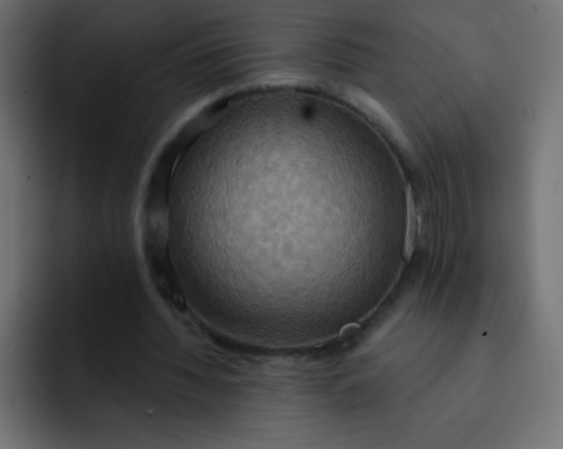 X0000092110436200710031233