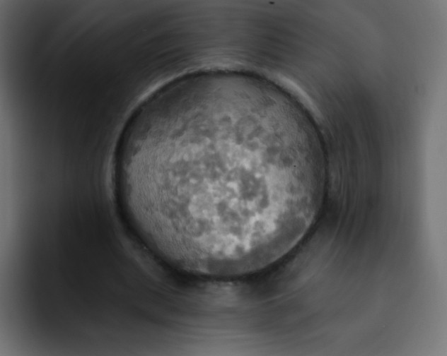 X0000092110439200710031233