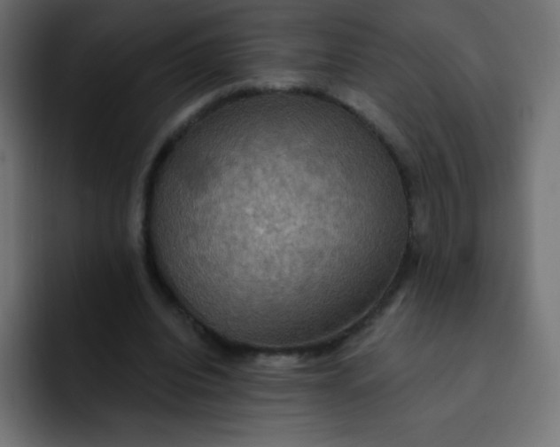 X0000092110440200710031233