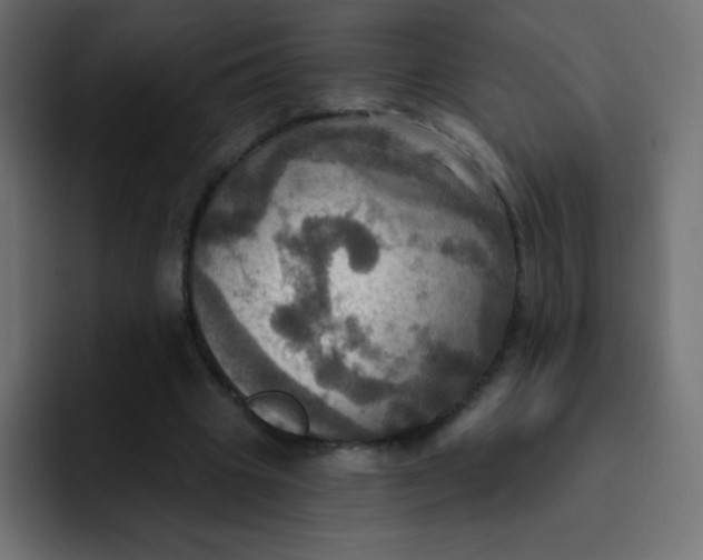 X0000092110441200710031233