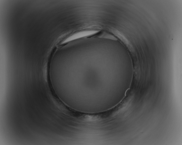 X0000092110442200710031233