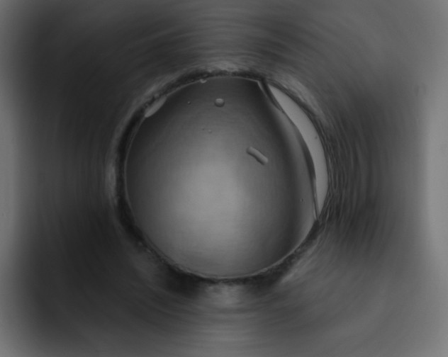 X0000092110444200710031233