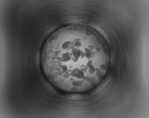 X0000092110445200710031233