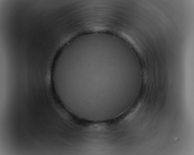 X0000092110447200710031233