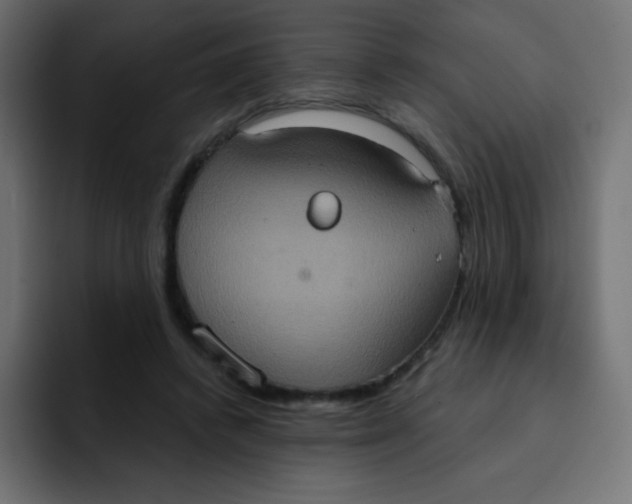 X0000092110448200710031233