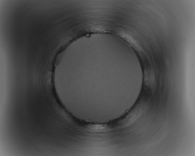 X0000092110449200710031233