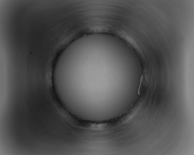 X0000092110450200710031233