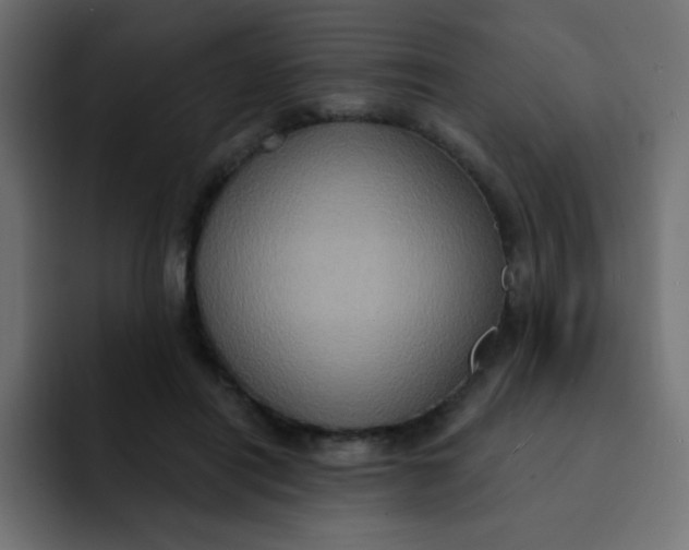 X0000092110454200710031233