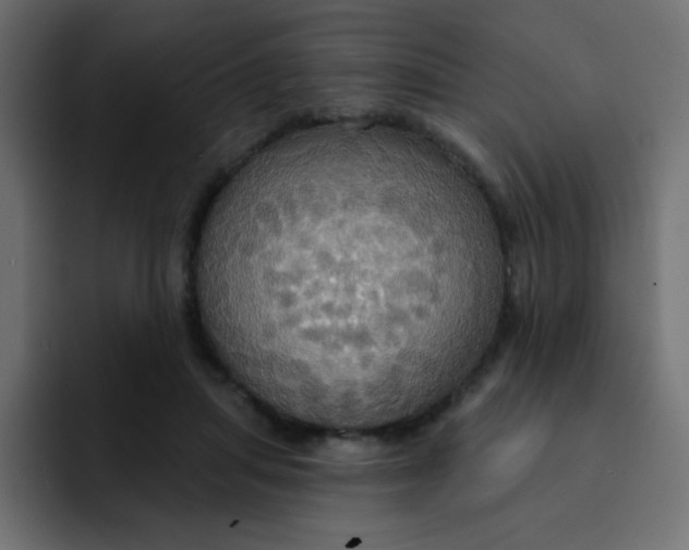 X0000092110455200710031233