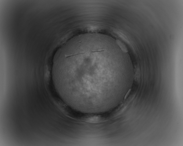 X0000092110456200710031233