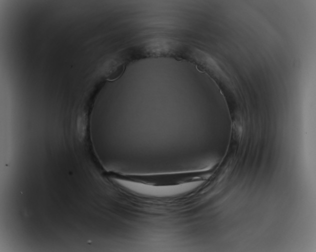 X0000092110458200710031234